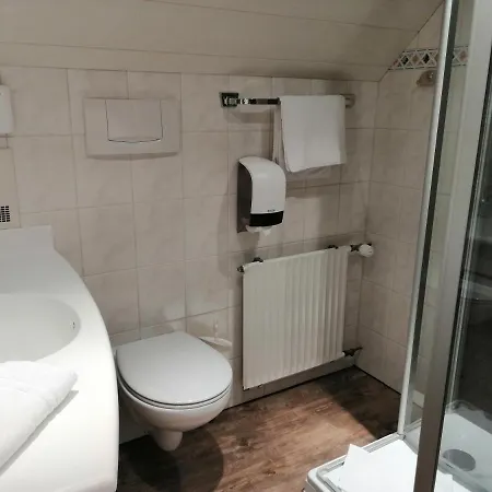 Land-Gut Hotel Zur Bruecke Garni 3*