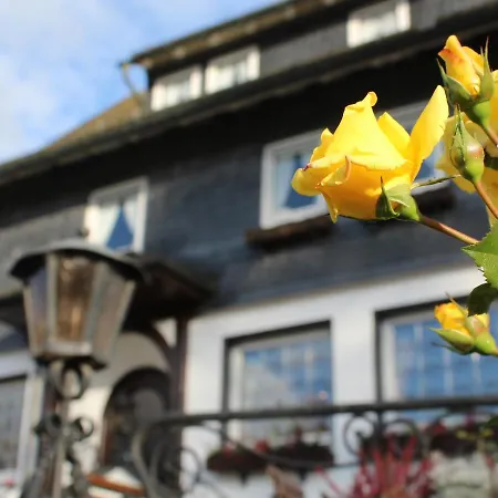 Hotel Land-Gut Hotel Zur Bruecke Garni